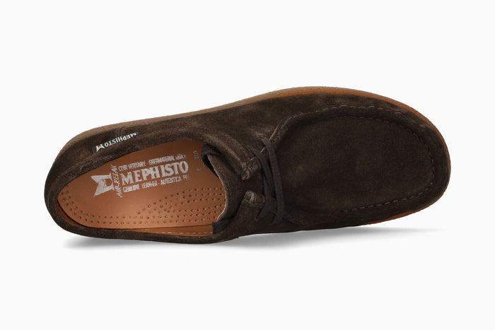 Bill - Dark Brown | MY11