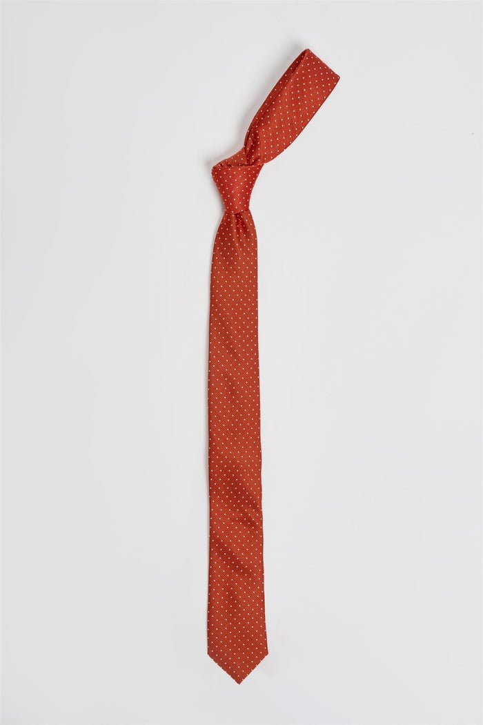 Boys Polka Dot Tie Set