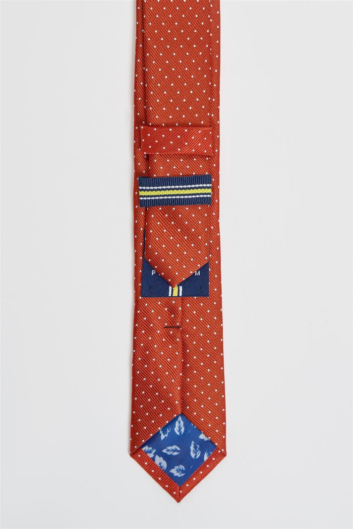 Boys Polka Dot Tie Set