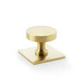 Castella Hastings 38mm Knob on Backplate Satin Brass PVD 803.038.35PVD - The Blue Space
