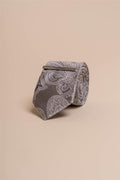 CV815 Paisley Tie