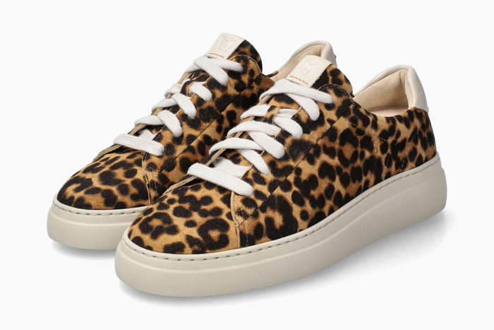 Dotty - Brown Women Sneaker