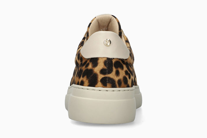 Dotty - Brown Women Sneaker