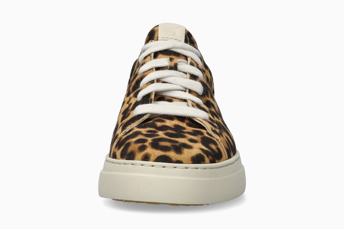Dotty - Brown Women Sneaker