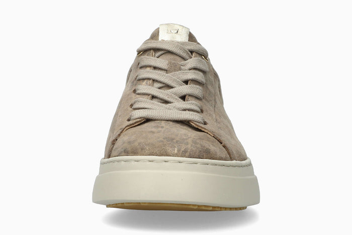 Dotty - Light Sand Women Sneaker