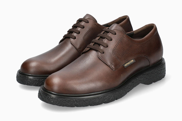 Eddy - Dark Brown | M1JQ