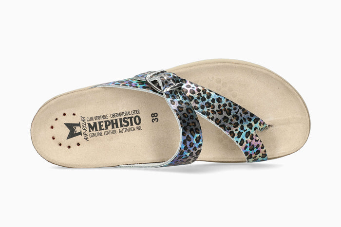 Helen - Multicolored | M7TQ