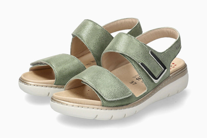 Lalia - Green Almond | M7BL