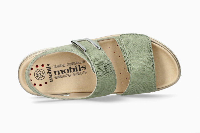 Lalia - Green Almond | M7BL