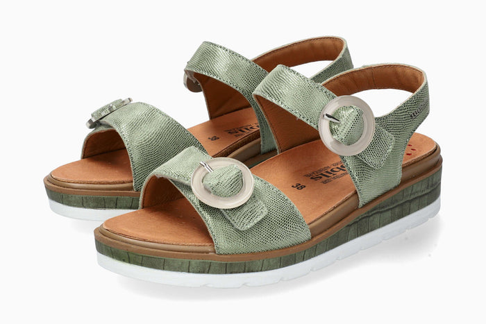 Myranda - Green Almond | M7BL