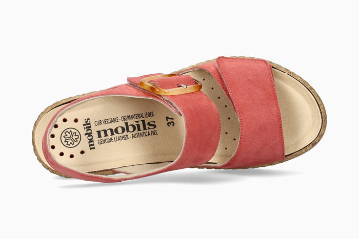 Nasma - Old Pink | M7CN