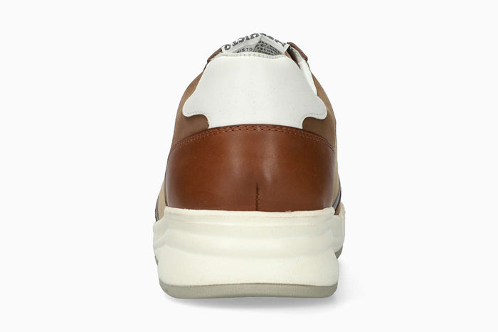 Norwin - Taupe Men Sneaker