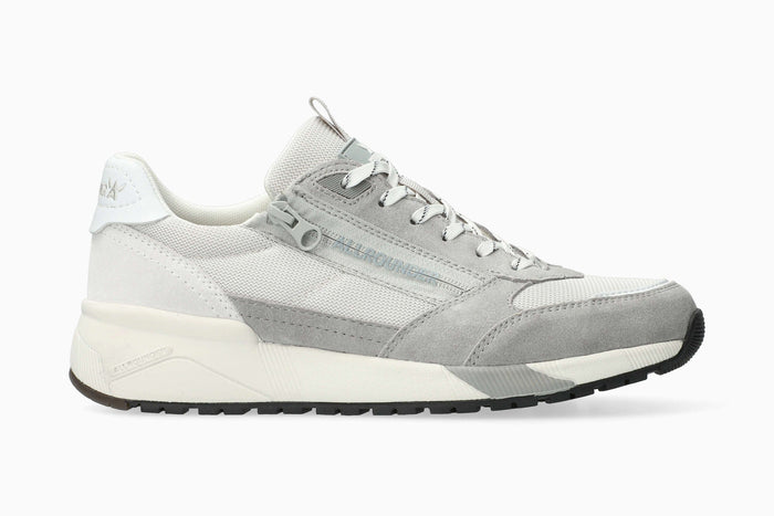 Scarmaro - Light Grey | A3MT