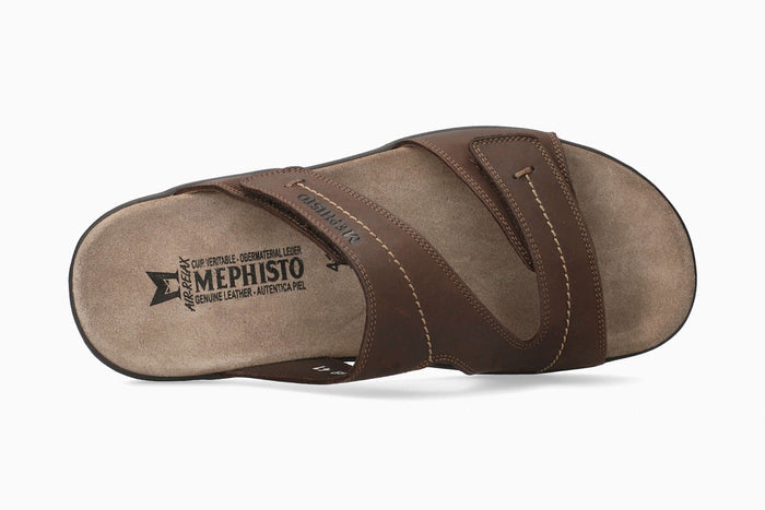 Stan - Dark Brown | MOL8
