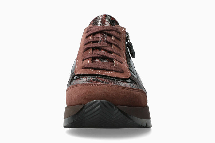 Tiziana - Chestnut Women Sneaker