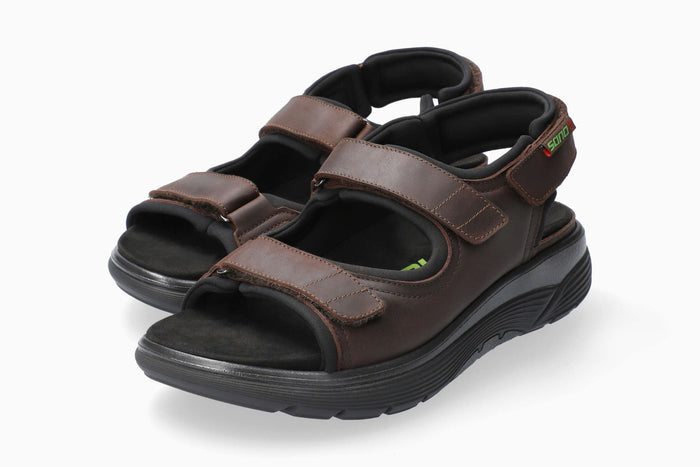 Wilfried - Dark Brown | MOL8